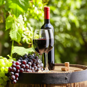 🍷 Vino Tinto
